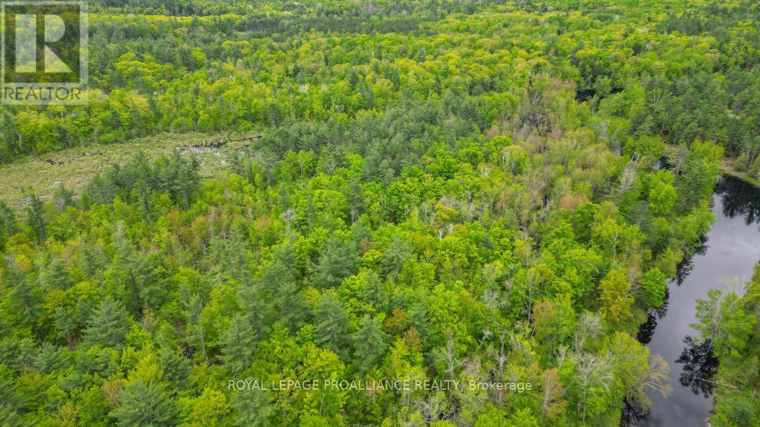 8 Clark Line Road, Addington Highlands (Addington Highlands), Ontario  K0H 1P0 - Photo 8 - X11989492