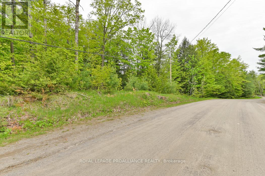 8 Clark Line Road, Addington Highlands (Addington Highlands), Ontario  K0H 1P0 - Photo 21 - X11989492