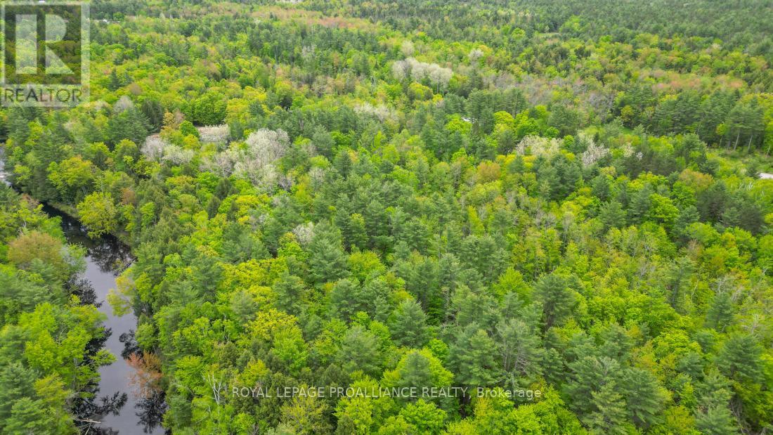 8 Clark Line Road, Addington Highlands (Addington Highlands), Ontario  K0H 1P0 - Photo 9 - X11989492