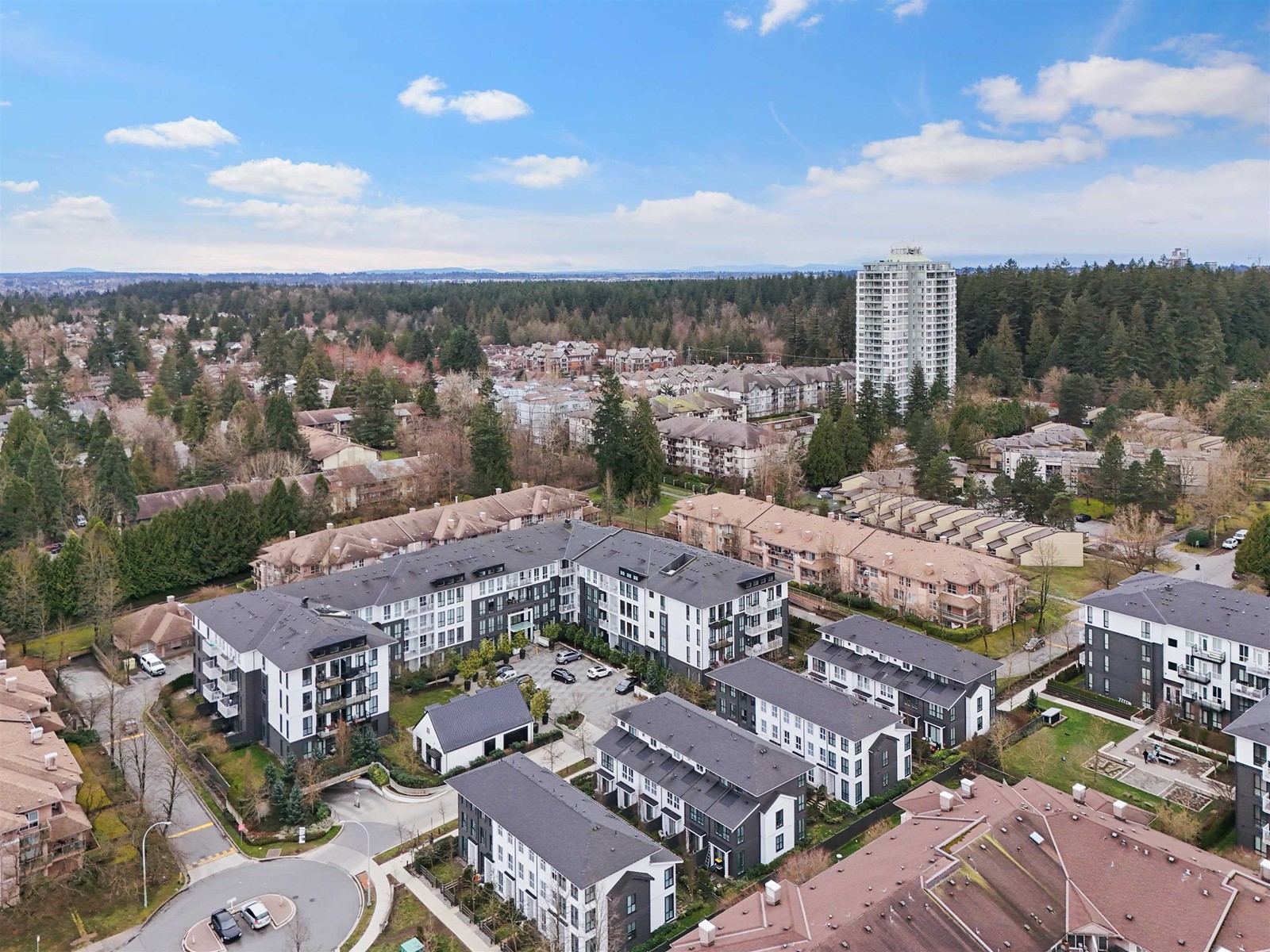 8 14955 101a Avenue, Surrey, British Columbia  V3R 0G1 - Photo 38 - R2999040