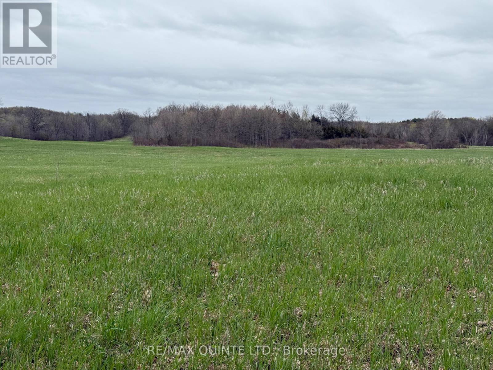 1116 Cross Road, Tyendinaga, Ontario  K0K 2Y0 - Photo 22 - X12128368