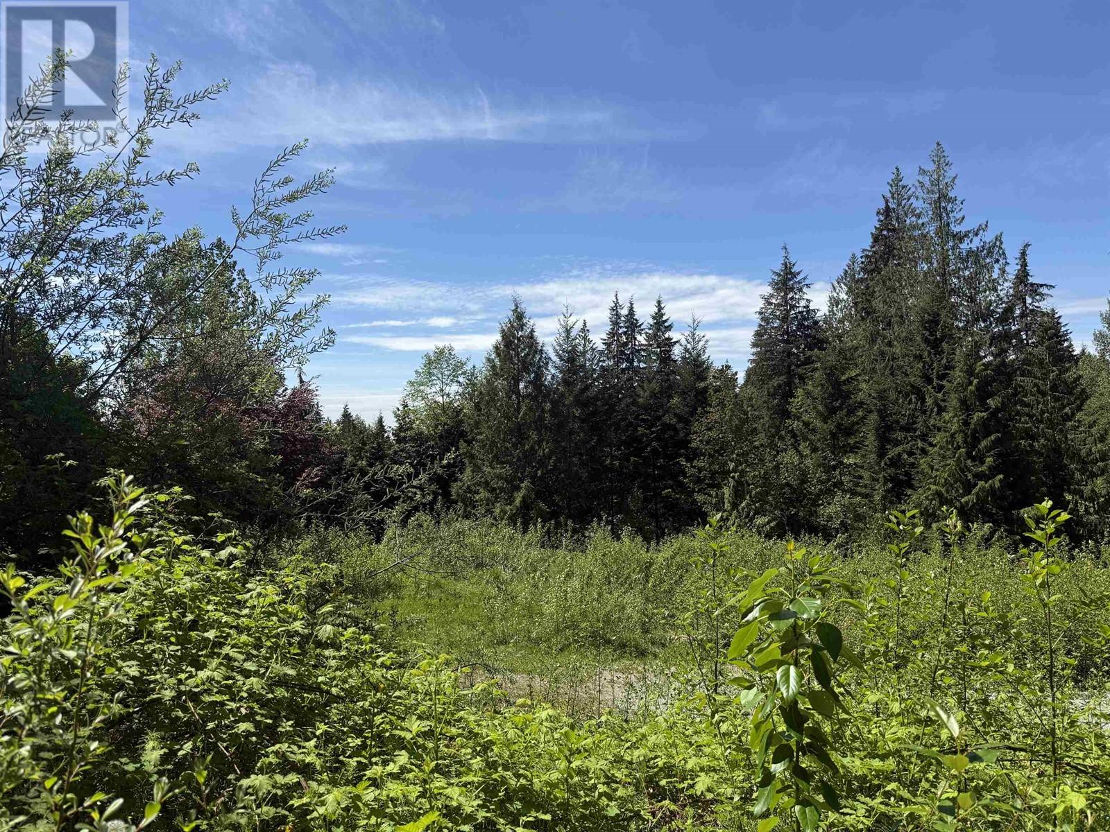 12305 270 Street, Maple Ridge, British Columbia  V2W 1C2 - Photo 3 - R2999047