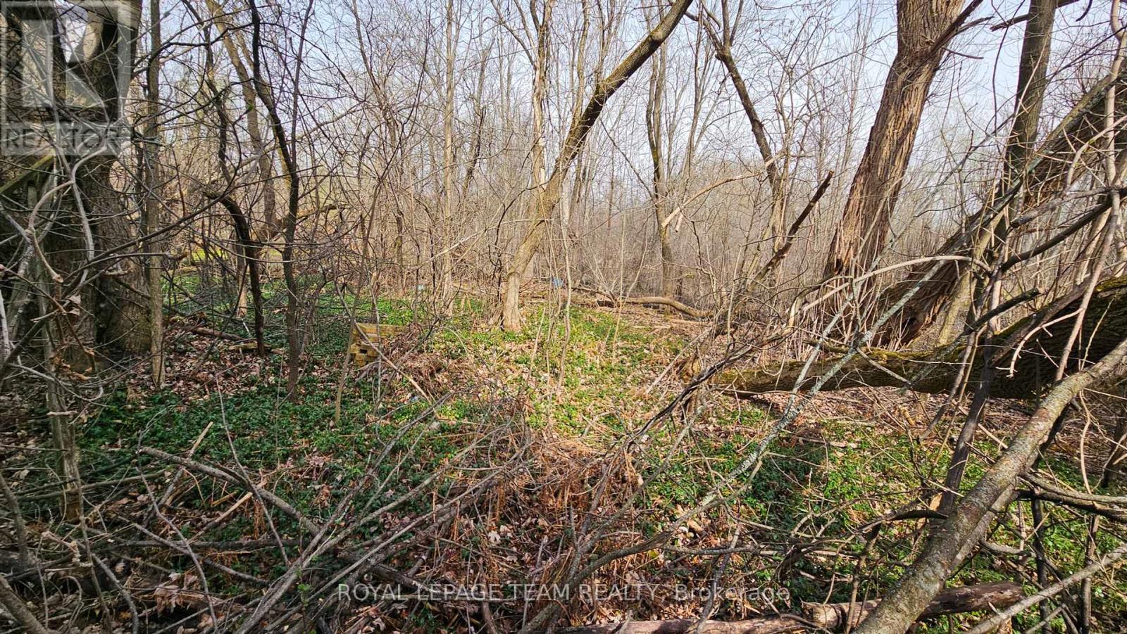 279 Water Street, Mississippi Mills, Ontario  K0A 1A0 - Photo 25 - X12022009