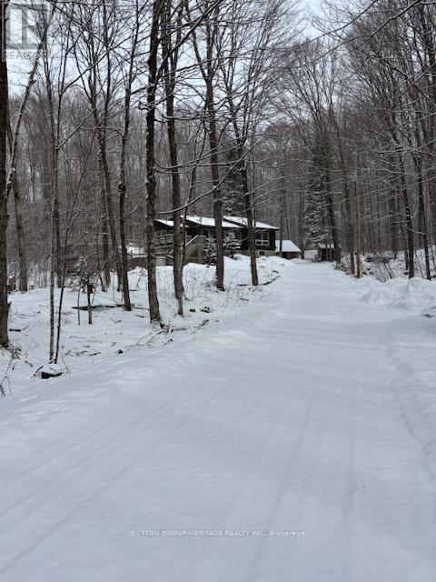 119 Acorn Road, Kawartha Lakes, Ontario  K0M 3L0 - Photo 32 - X12128342