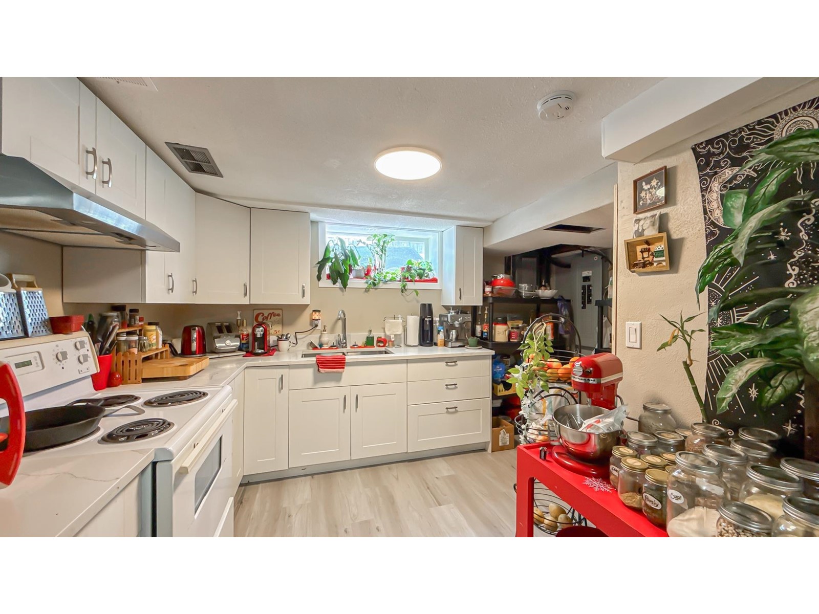 9762 Corbould Street, Chilliwack Proper West, Chilliwack, British Columbia  V2P 4B5 - Photo 22 - R2998855
