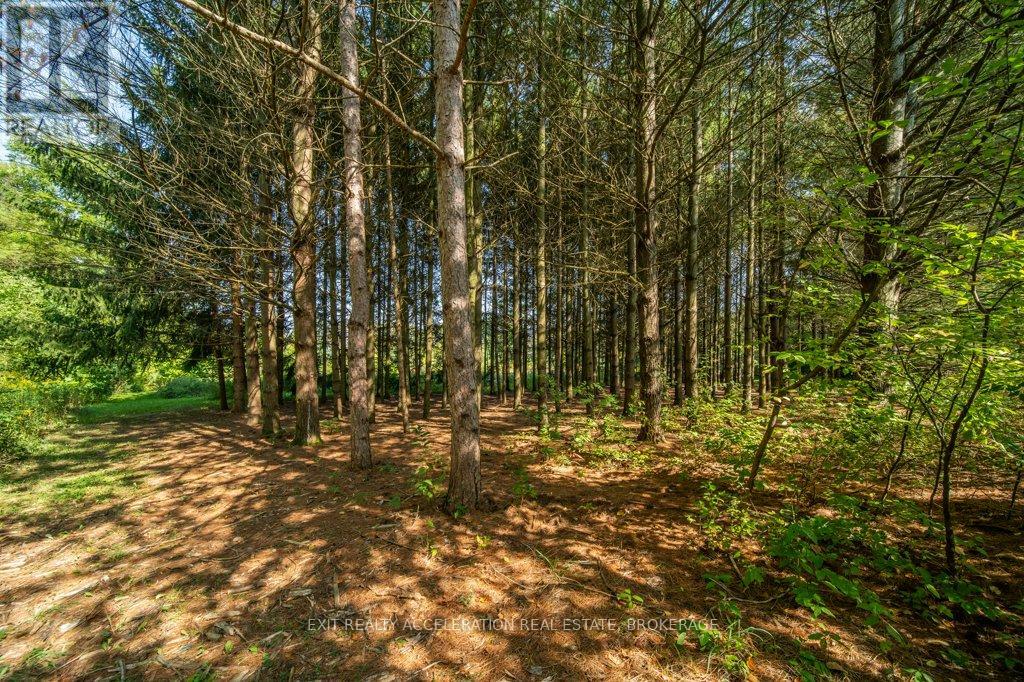 2940 County Road 8, Greater Napanee, Ontario  K7R 3K7 - Photo 35 - X12128590