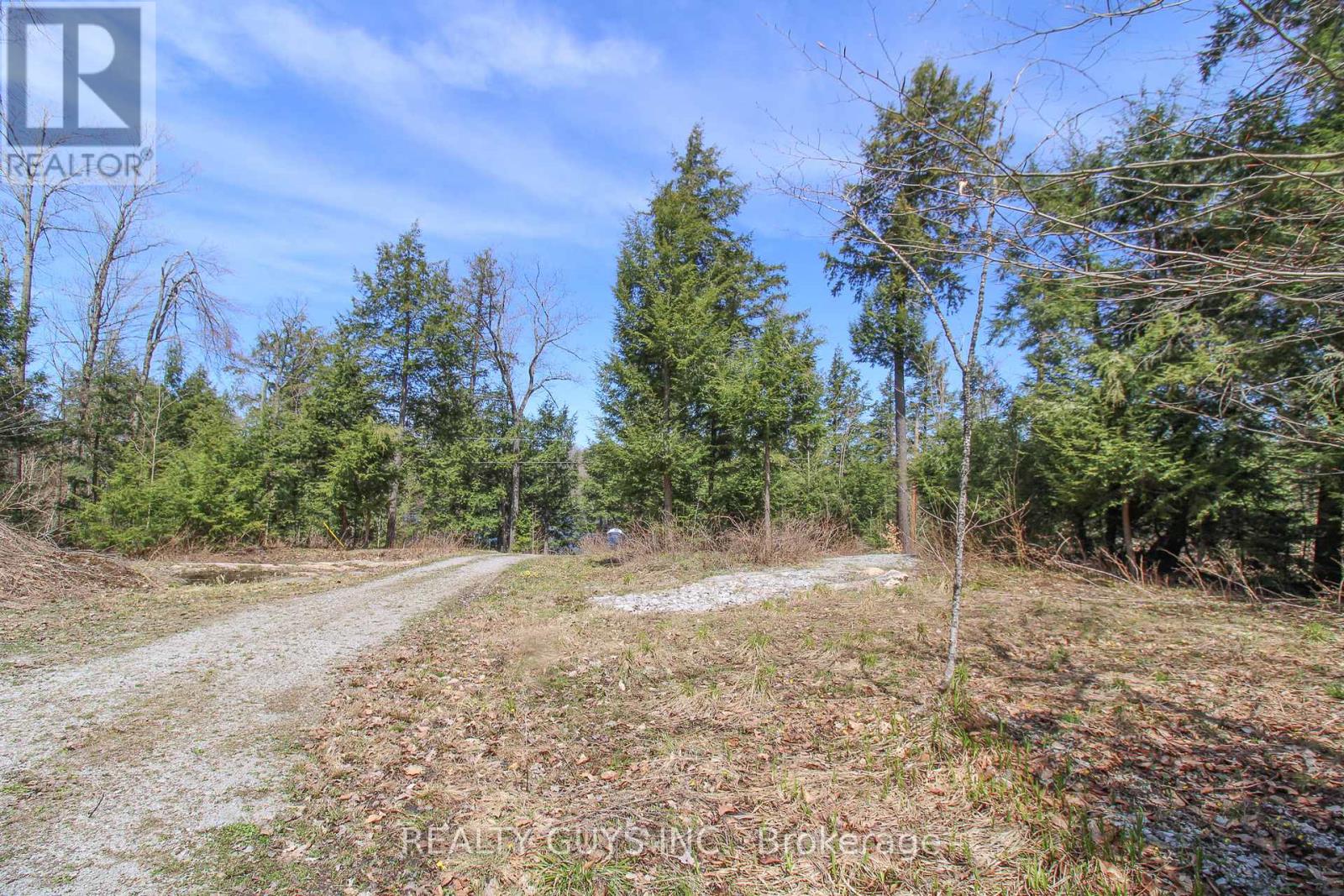 959 Beaver Lake Road, Trent Lakes, Ontario  K0L 1J0 - Photo 8 - X12010886