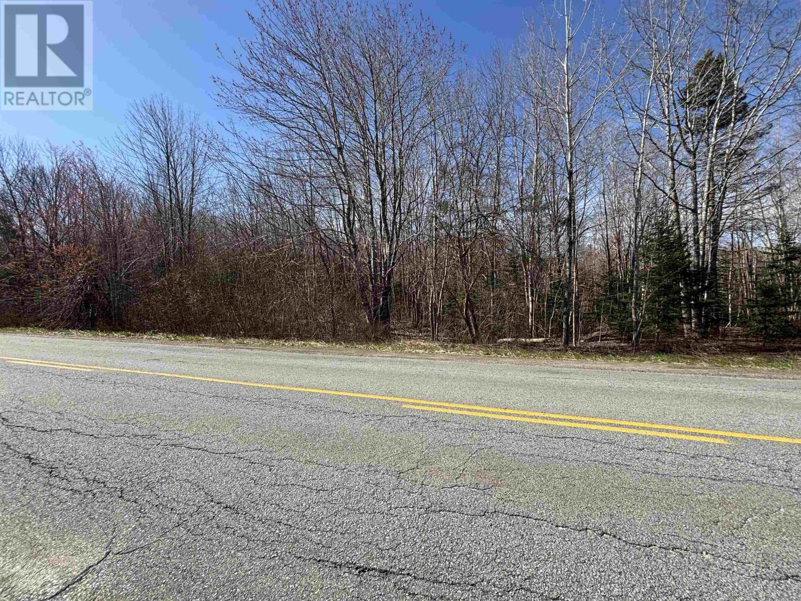 Lot (Pid 60330081) Lower Branch Road, Lower Branch, Nova Scotia  B4V 4M6 - Photo 10 - 202509861