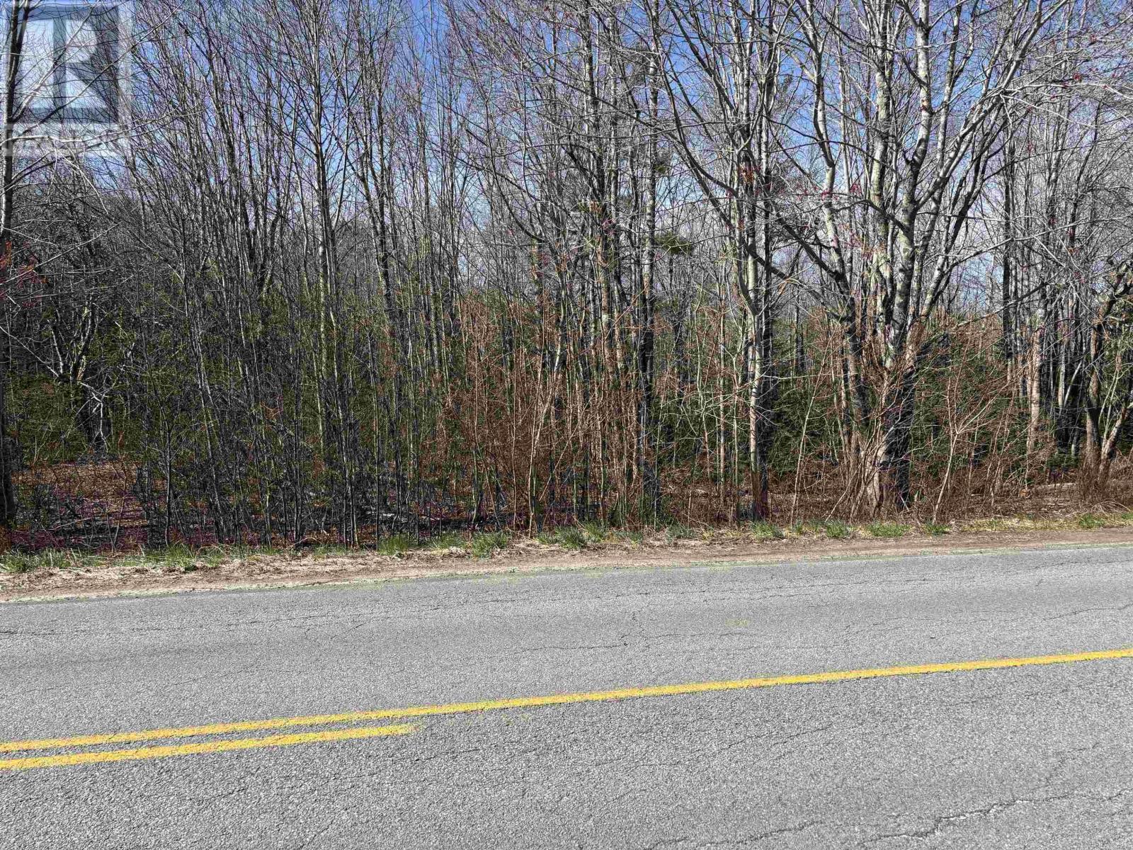 Lot (Pid 60330081) Lower Branch Road, Lower Branch, Nova Scotia  B4V 4M6 - Photo 12 - 202509861