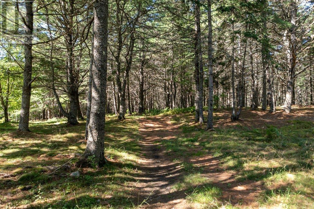 226 Crandall Road, Martins Point, Nova Scotia  B0J 2E0 - Photo 46 - 202510027