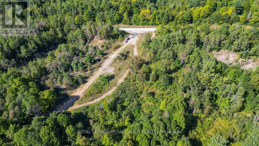 A - 2839a Ardoch Road, North Frontenac, Ontario  K0H 1J0 - Photo 13 - X12128711