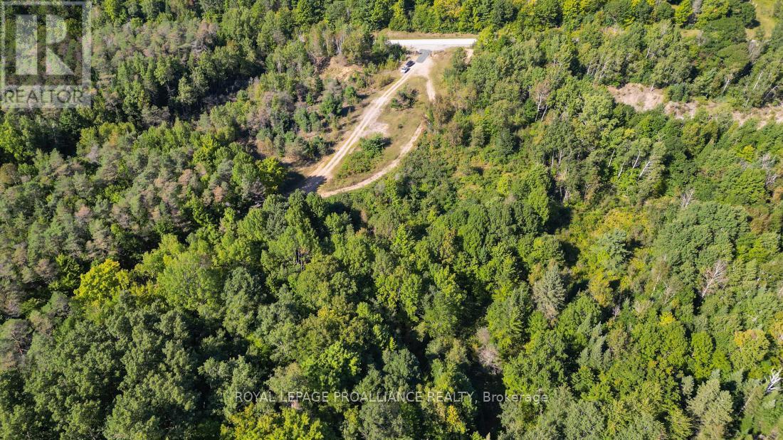 A - 2839a Ardoch Road, North Frontenac, Ontario  K0H 1J0 - Photo 14 - X12128711