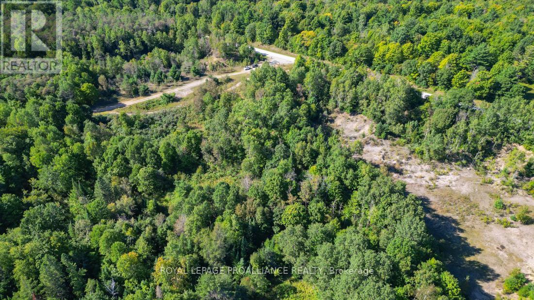 A - 2839a Ardoch Road, North Frontenac, Ontario  K0H 1J0 - Photo 15 - X12128711