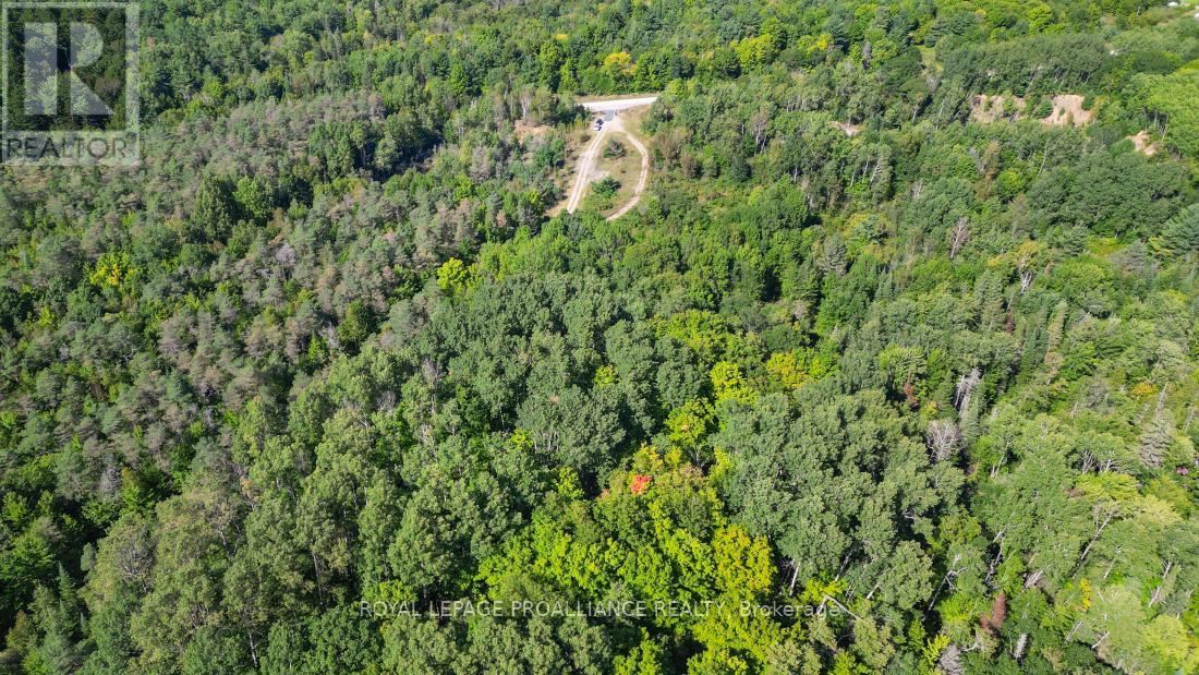 A - 2839a Ardoch Road, North Frontenac, Ontario  K0H 1J0 - Photo 16 - X12128711