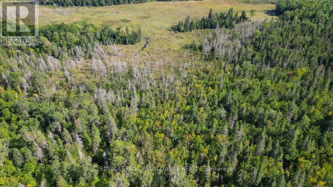 A - 2839a Ardoch Road, North Frontenac, Ontario  K0H 1J0 - Photo 17 - X12128711