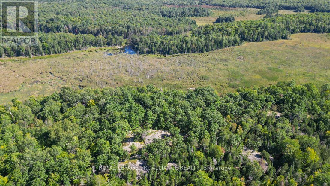 A - 2839a Ardoch Road, North Frontenac, Ontario  K0H 1J0 - Photo 19 - X12128711