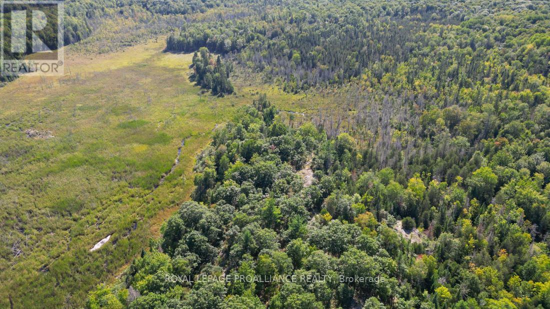 A - 2839a Ardoch Road, North Frontenac, Ontario  K0H 1J0 - Photo 20 - X12128711