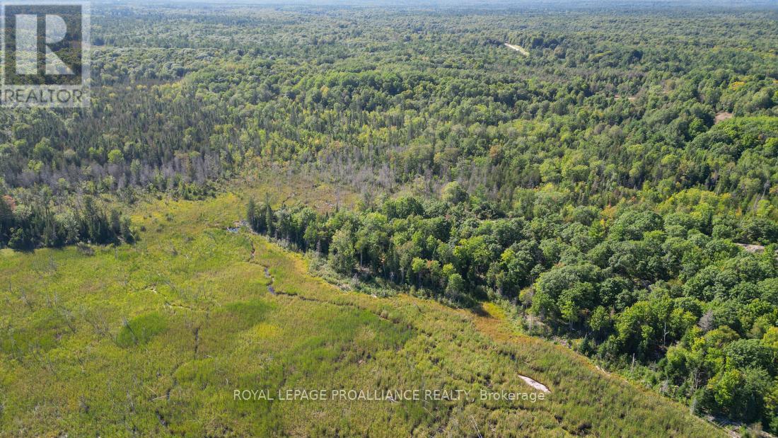 A - 2839a Ardoch Road, North Frontenac, Ontario  K0H 1J0 - Photo 21 - X12128711