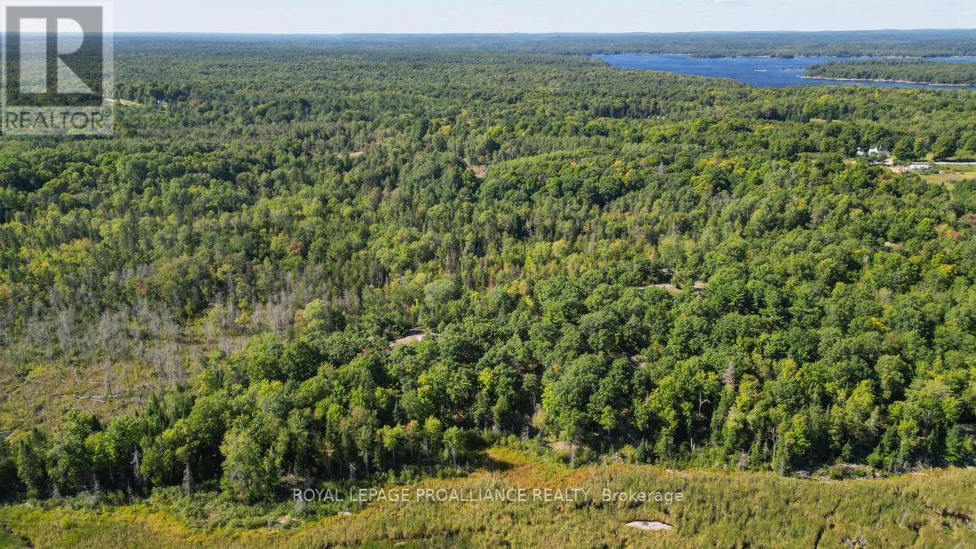 A - 2839a Ardoch Road, North Frontenac, Ontario  K0H 1J0 - Photo 22 - X12128711
