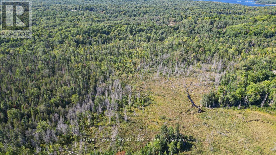 A - 2839a Ardoch Road, North Frontenac, Ontario  K0H 1J0 - Photo 23 - X12128711