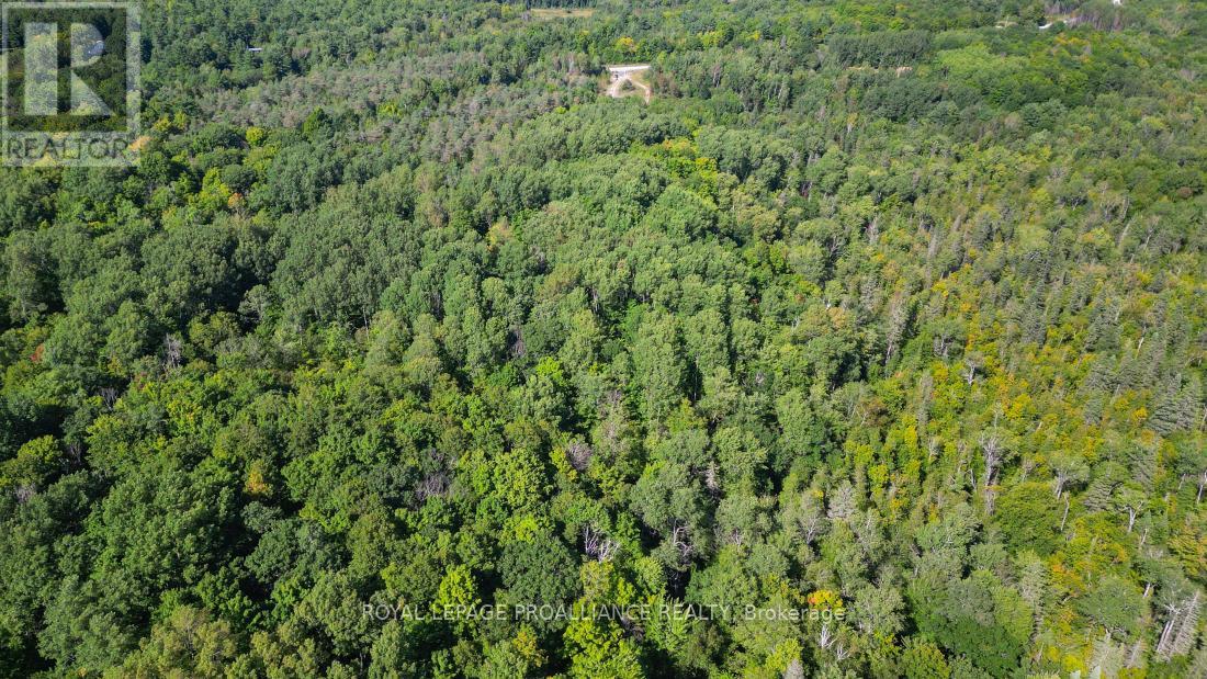 A - 2839a Ardoch Road, North Frontenac, Ontario  K0H 1J0 - Photo 24 - X12128711