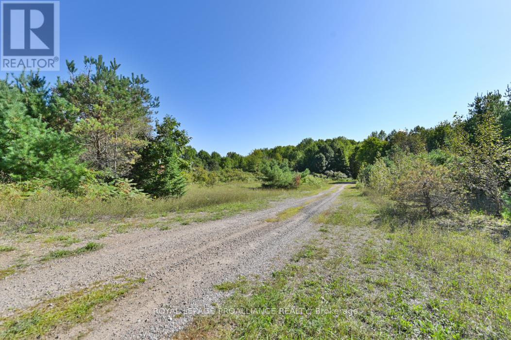A - 2839a Ardoch Road, North Frontenac, Ontario  K0H 1J0 - Photo 3 - X12128711