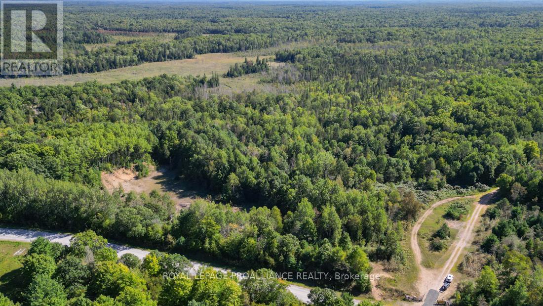 A - 2839a Ardoch Road, North Frontenac, Ontario  K0H 1J0 - Photo 6 - X12128711