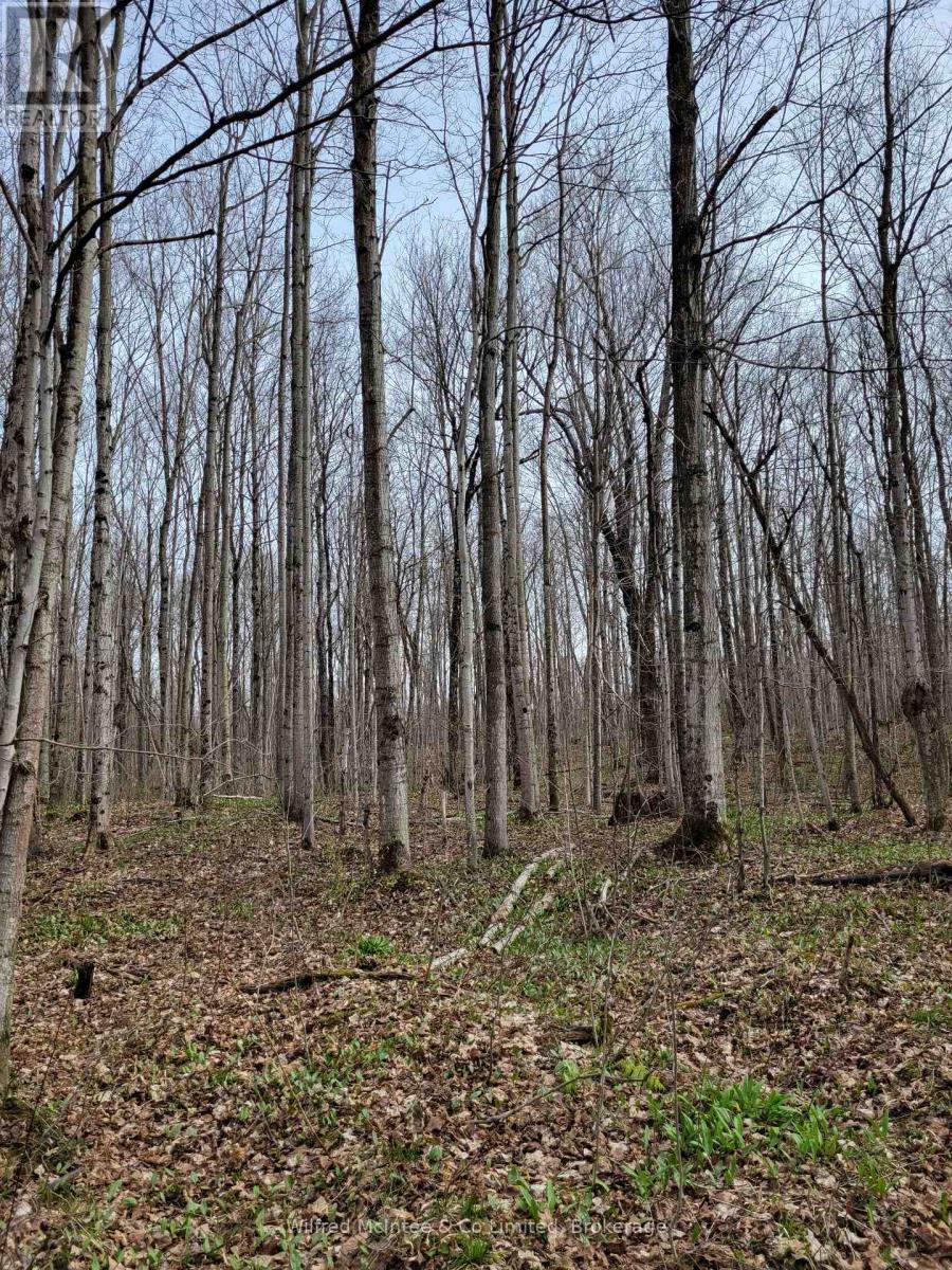 & 383504 - 383470 Concession 4, West Grey, Ontario  N0C 1K0 - Photo 10 - X12128175