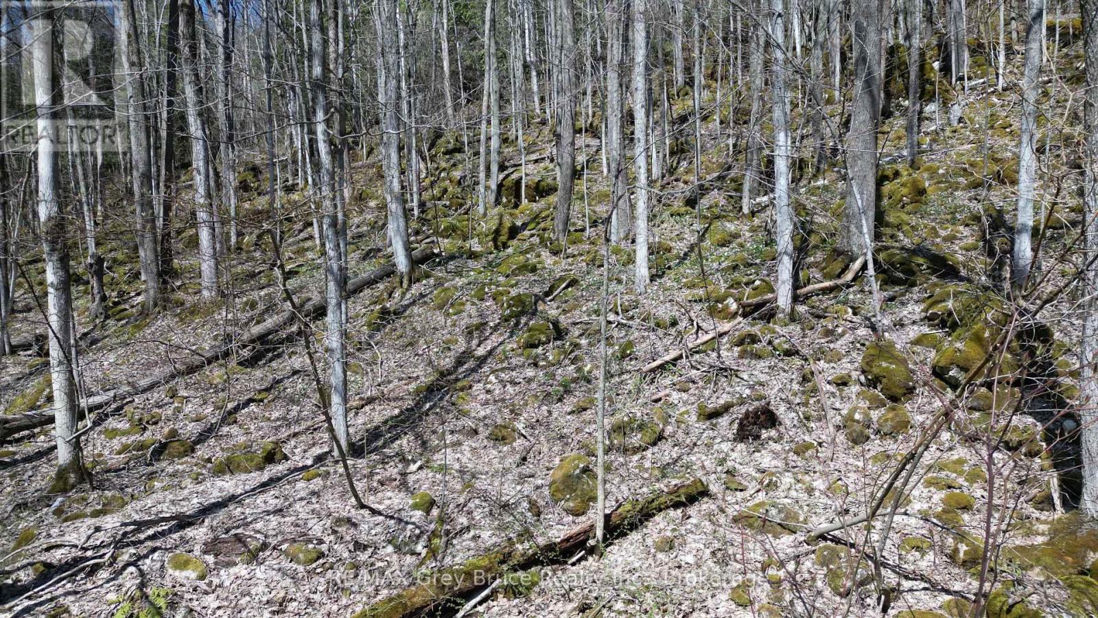 13 4th Avenue, South Bruce Peninsula, Ontario  N0H 2T0 - Photo 33 - X12128644