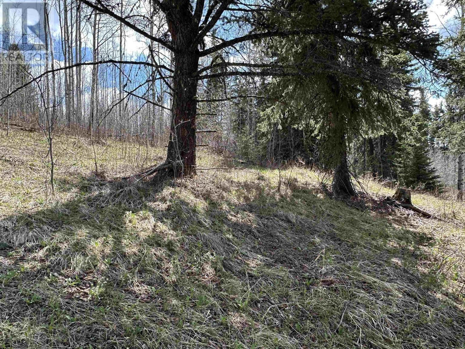 St Lot 26 Cottage Lane, Bridge Lake, British Columbia  V0K 1E0 - Photo 8 - R2975256