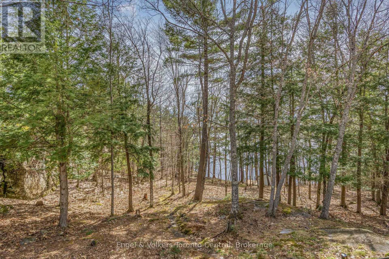 2481 Falkenburg Road, Muskoka Lakes, Ontario  P0B 1J0 - Photo 28 - X12118885