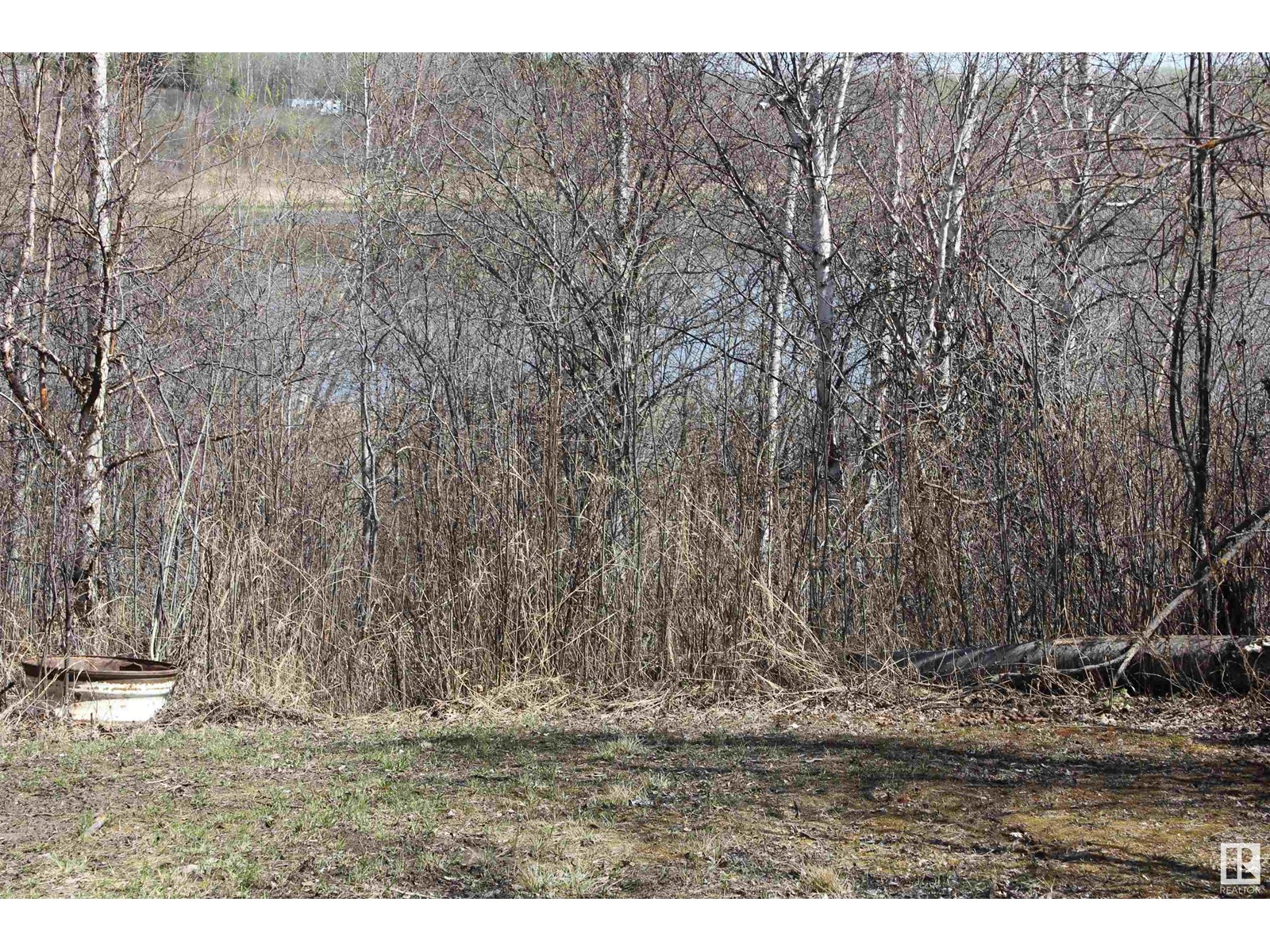 532 11131 Twp Rd 600, Rural St. Paul County, Alberta  T0A 0C0 - Photo 10 - E4434434