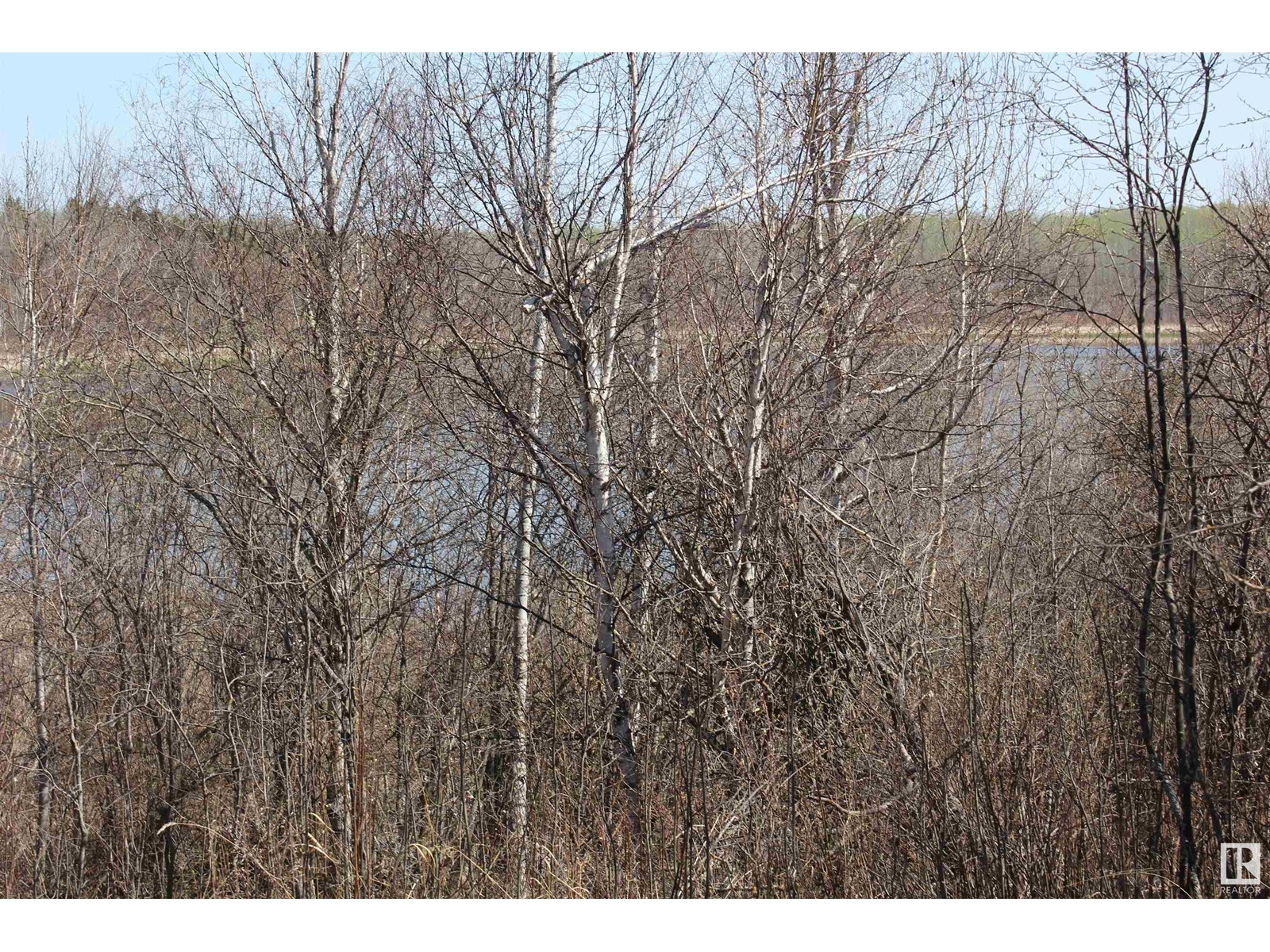 532 11131 Twp Rd 600, Rural St. Paul County, Alberta  T0A 0C0 - Photo 9 - E4434434