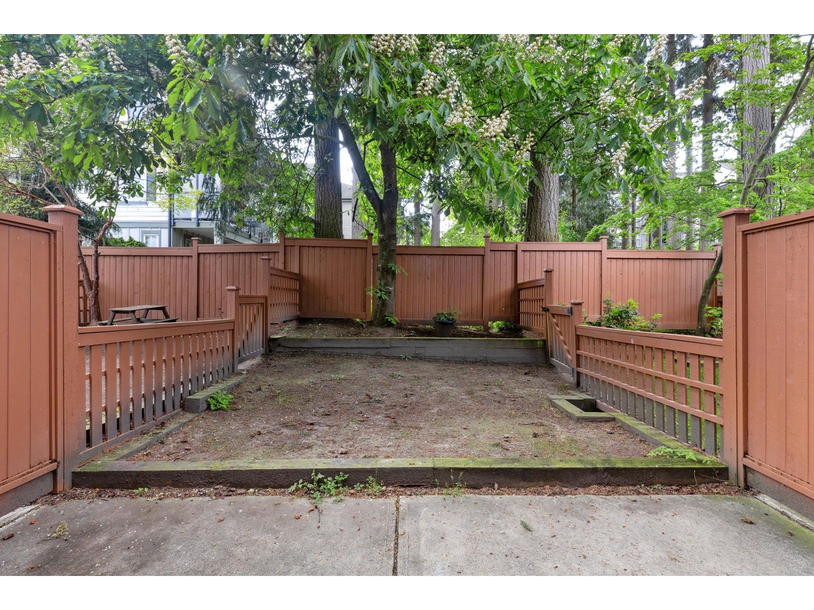 12 2929 156 Street, Surrey, British Columbia  V3Z 0S9 - Photo 30 - R2999294