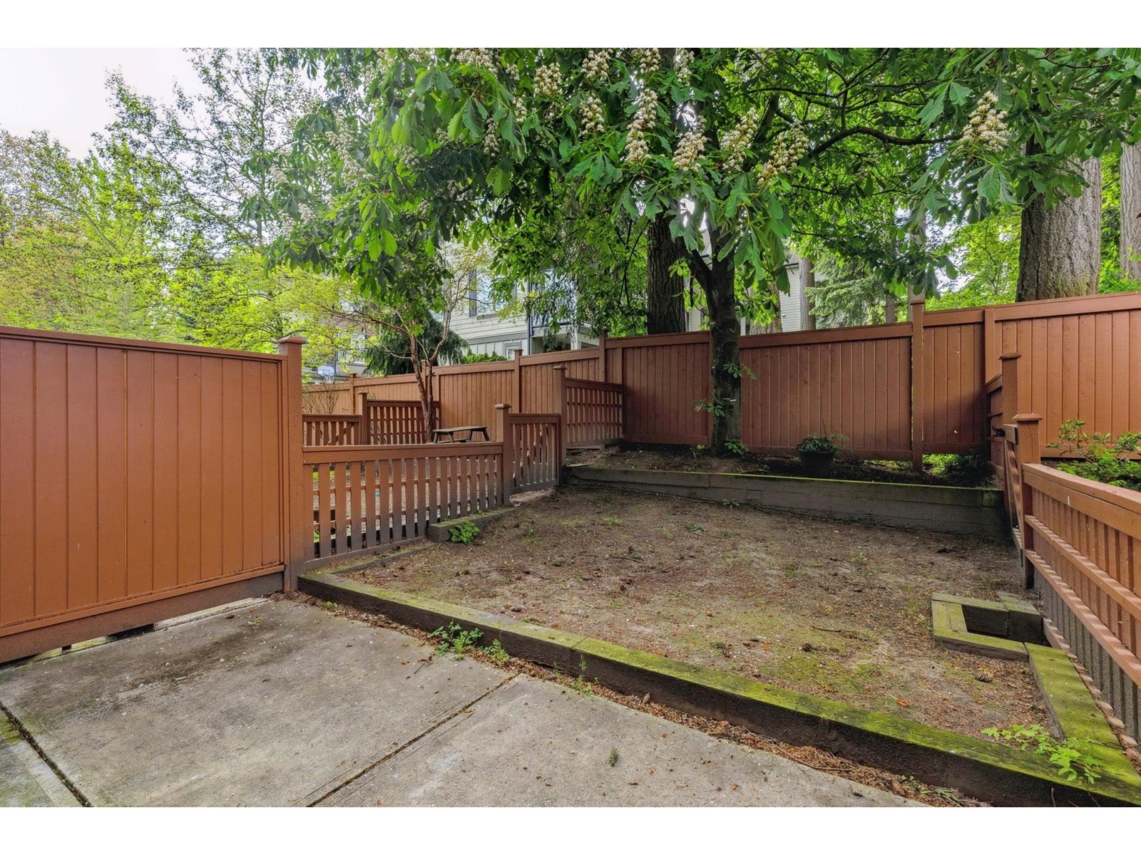 12 2929 156 Street, Surrey, British Columbia  V3Z 0S9 - Photo 31 - R2999294