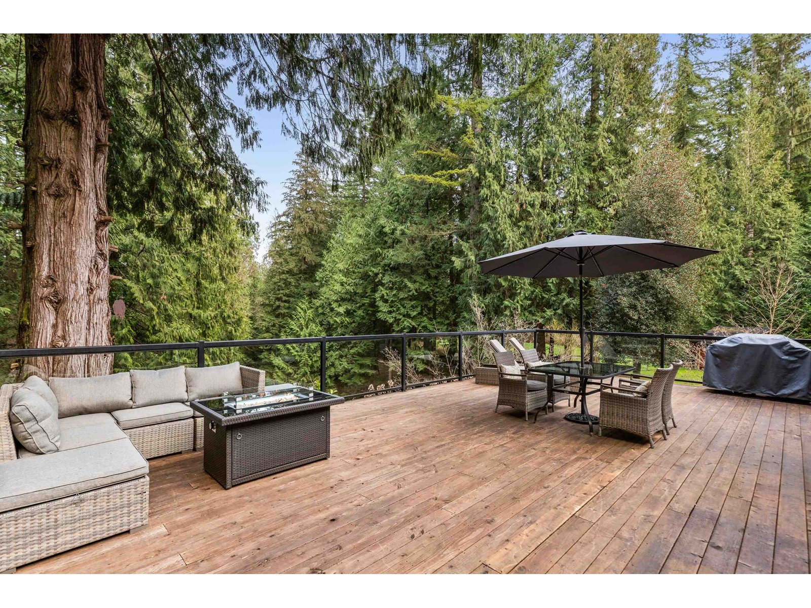 11848 Wilson Street, Mission, British Columbia  V4S 1B6 - Photo 11 - R2998251