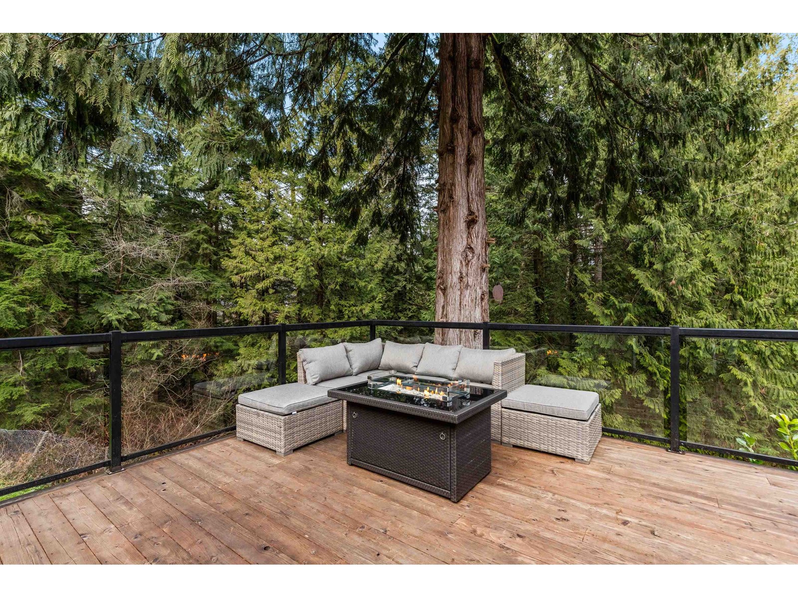11848 Wilson Street, Mission, British Columbia  V4S 1B6 - Photo 12 - R2998251