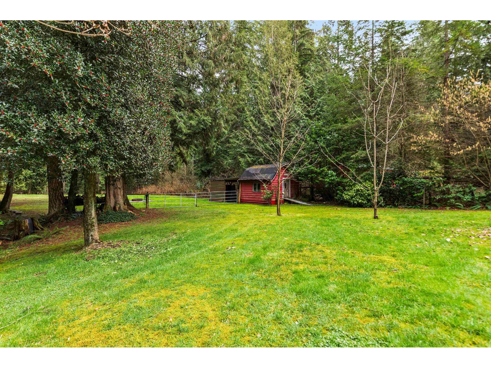 11848 Wilson Street, Mission, British Columbia  V4S 1B6 - Photo 32 - R2998251