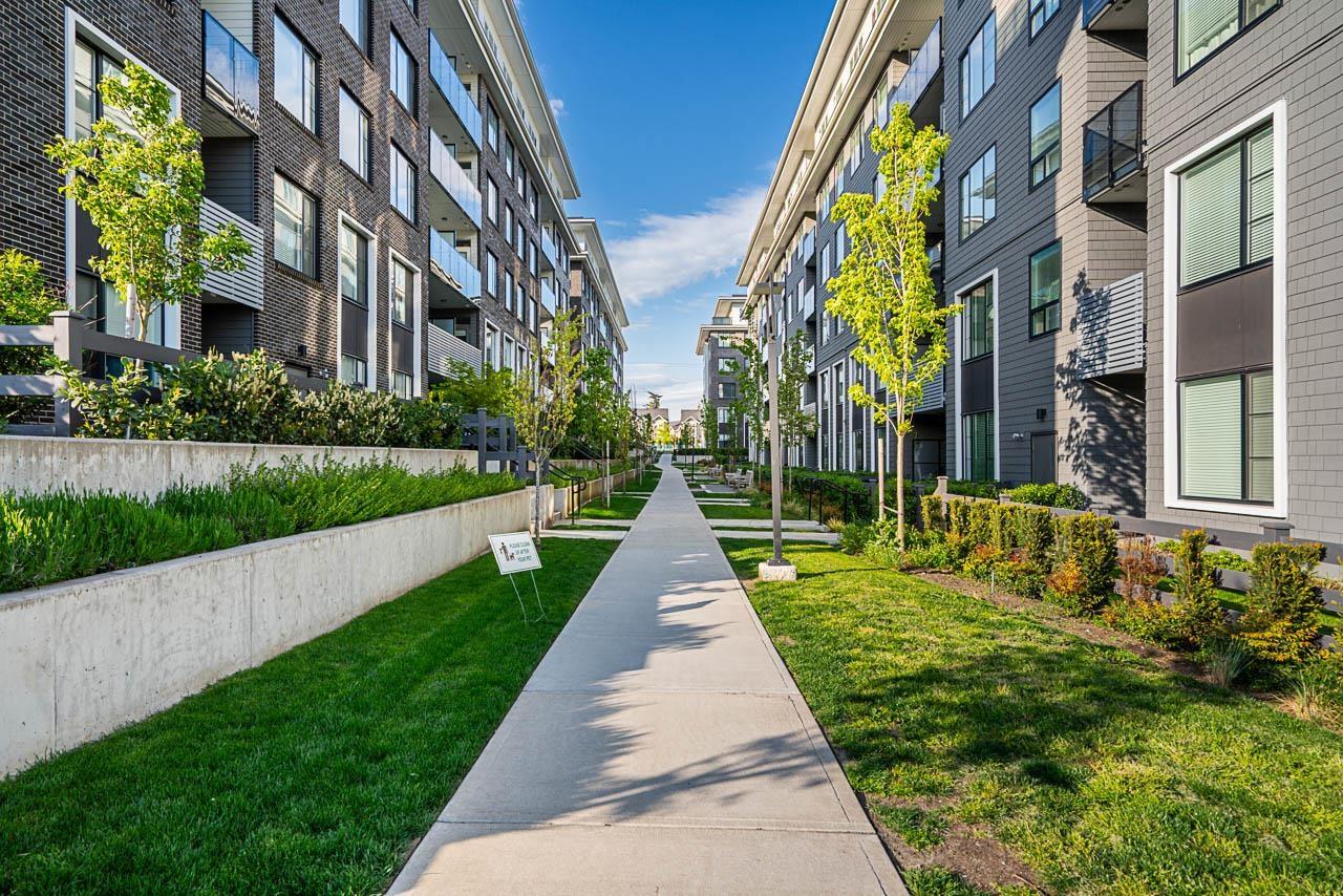 210 15825 85 Avenue, Surrey, British Columbia  V4N 6W9 - Photo 33 - R2999166