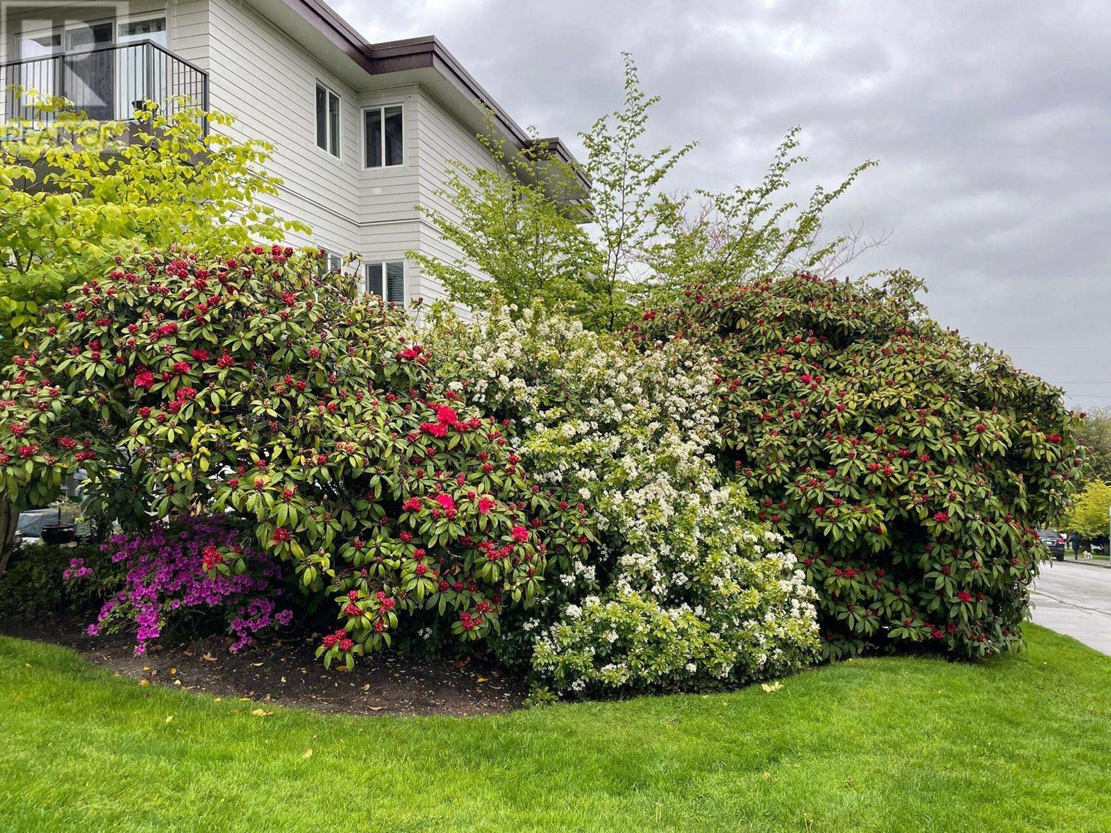 2125 W 2nd Avenue, Vancouver, British Columbia  V6K 1H7 - Photo 29 - R2999268