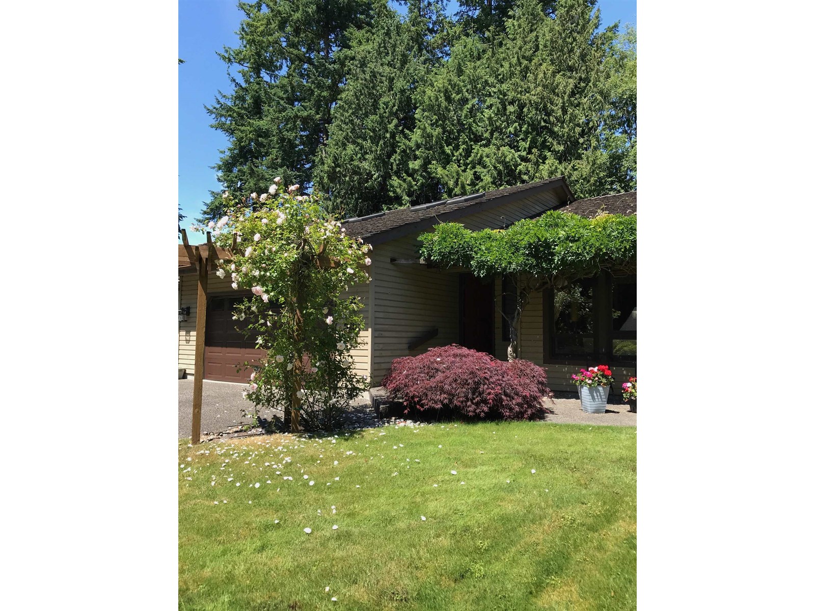 11943 Briarwood Place, Delta, British Columbia  V4E 2X3 - Photo 17 - R2998884