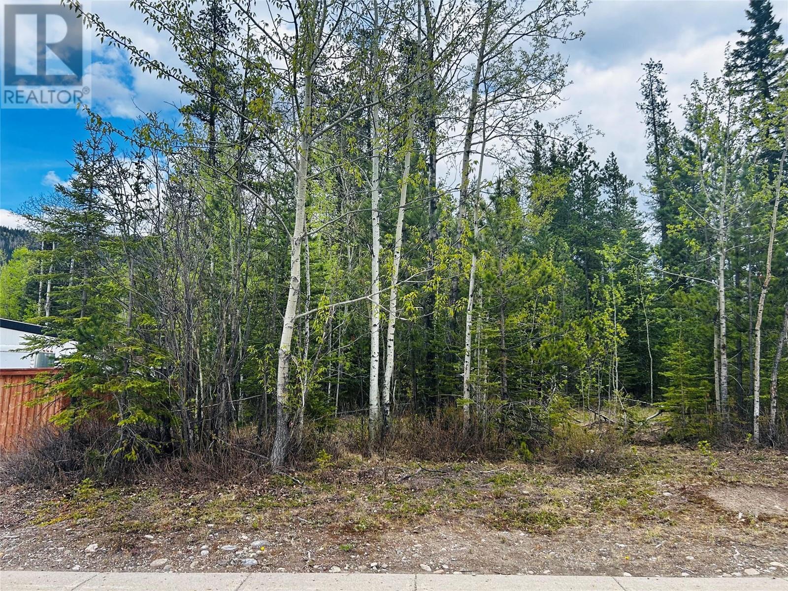 8 Wolverine Place, Tumbler Ridge, British Columbia