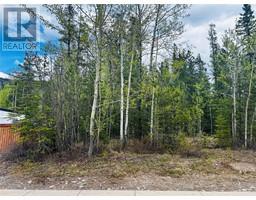 8 Wolverine Place, tumbler ridge, British Columbia