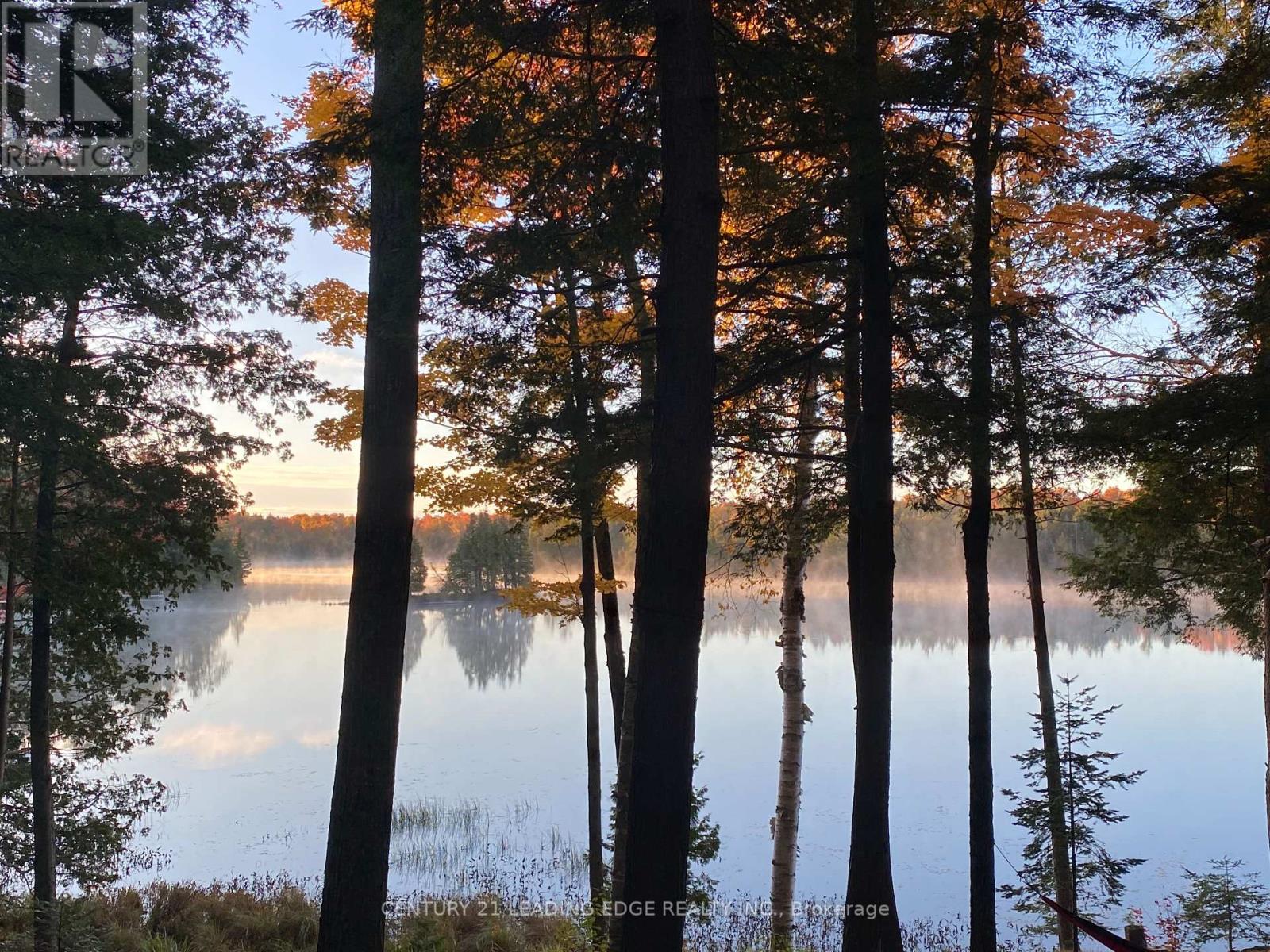 181 North Jordan Lake Road, Tudor & Cashel, Ontario  K0L 1W0 - Photo 23 - X12125773