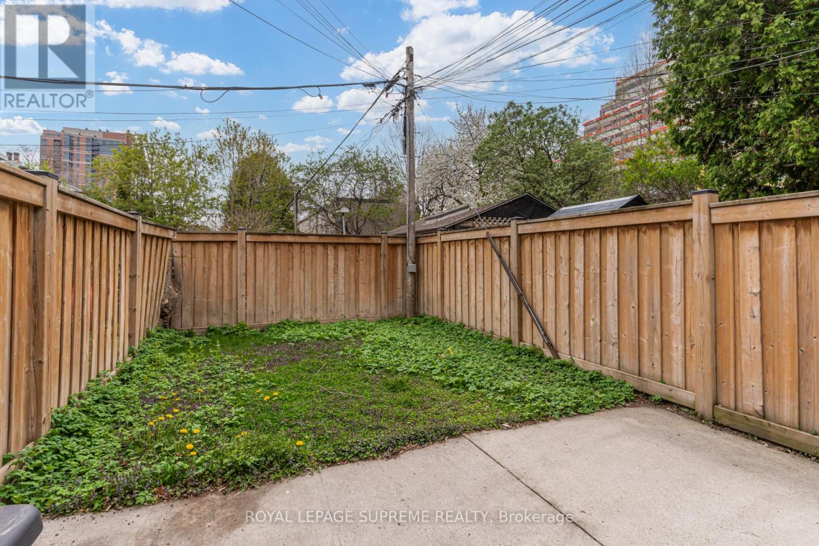 443 Pacific Avenue, Toronto, Ontario  M6P 2R3 - Photo 37 - W12129098