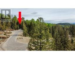 110 Topping Terrace Rossland