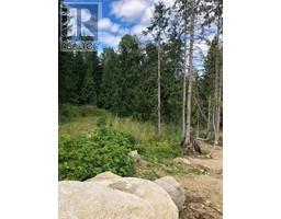 311 RIDGE Road Rossland