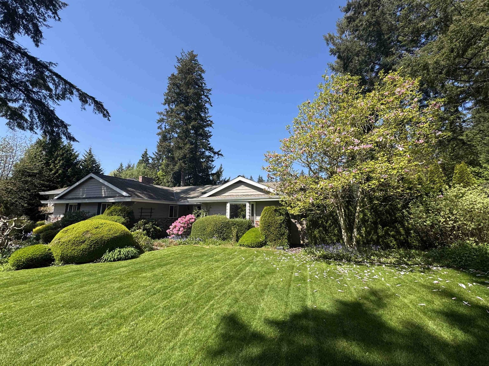 Property at 14387 24A AVENUE image 1