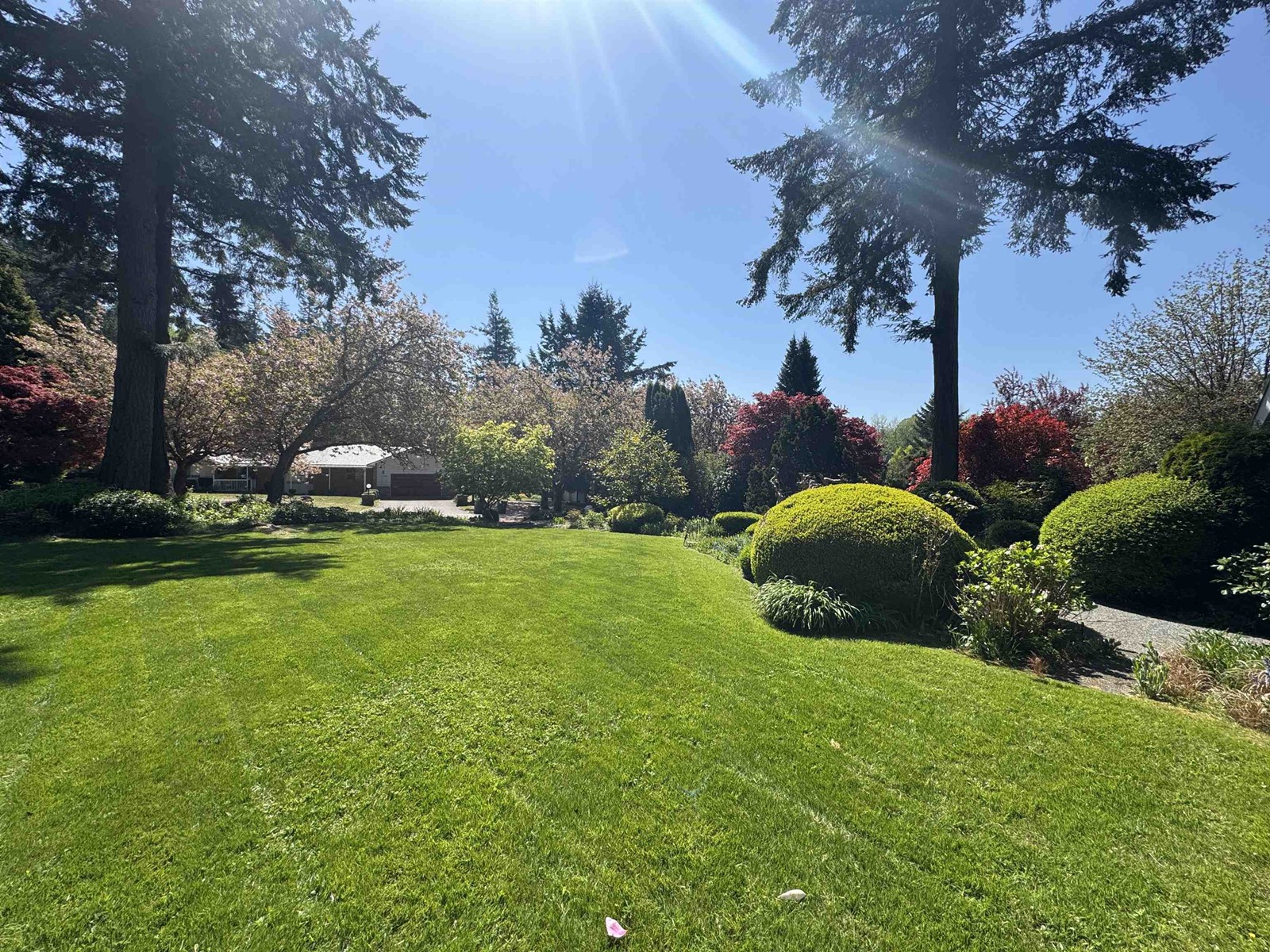 Property at 14387 24A AVENUE image 2