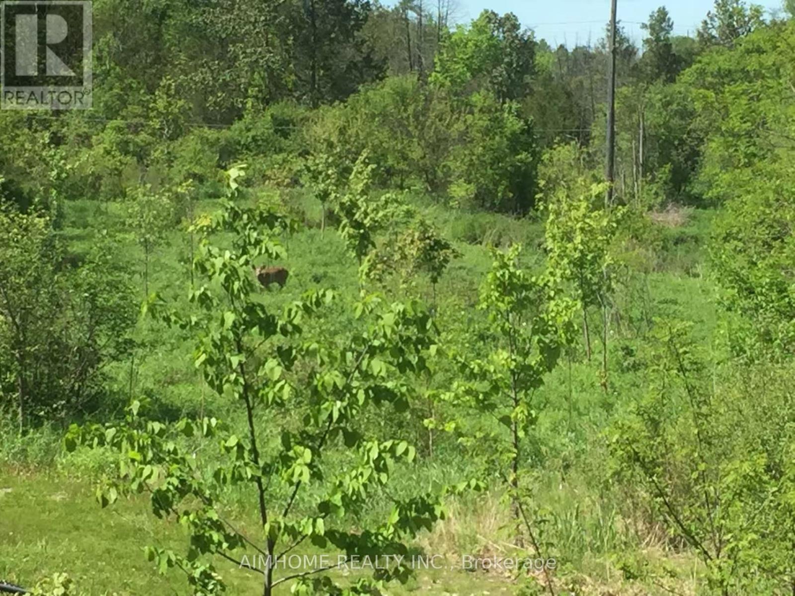 Property at 65 SNOWY OWL WAY image 1